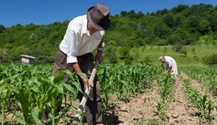 [evento: i-seminario-estadual-de-vigilancia-em-saude-do-trabalhador-rural] - 01.jpg