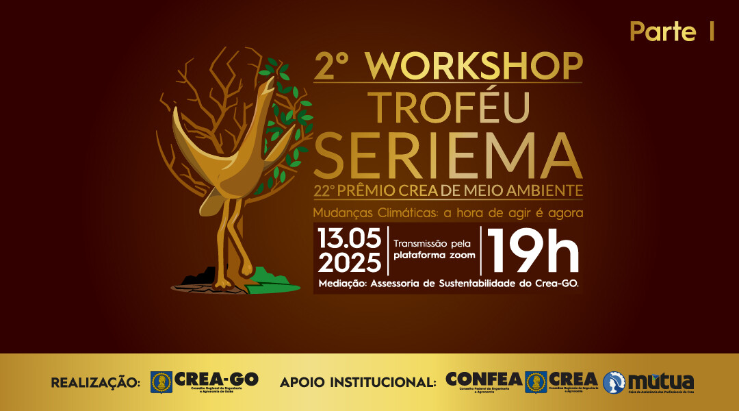2-workshop-trofeu-seriema-parte-1