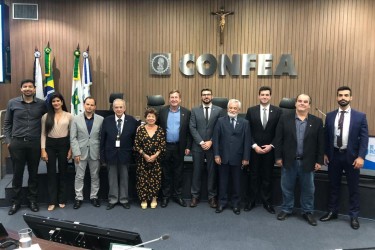 assessor-do-crea-representa-entidades-goianas-em-brasilia