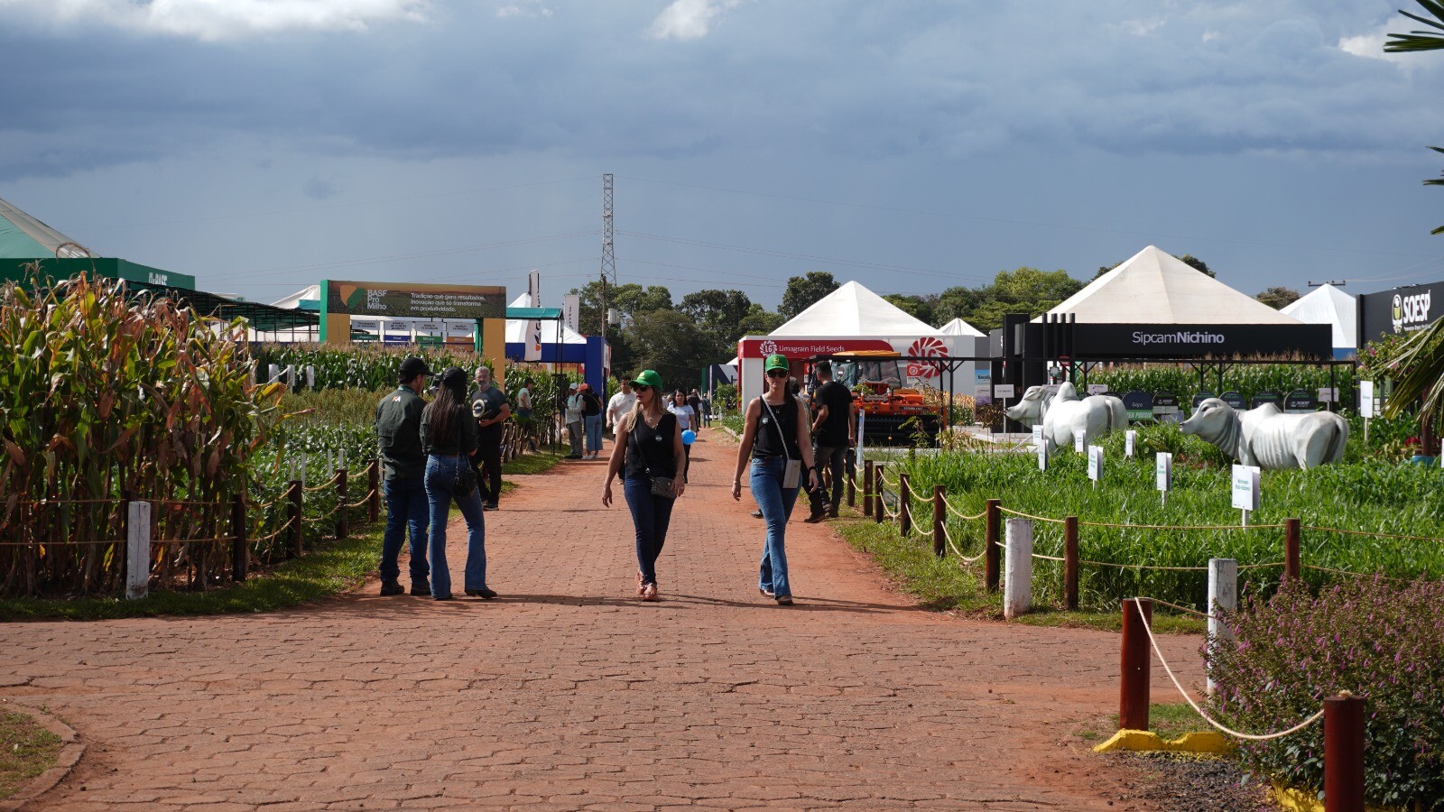 WhatsApp Image 2026-04-14 at 14.21.45(1).jpeg