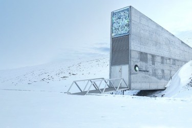 brasil-enviara-nova-remessa-para-o-banco-mundial-de-sementes