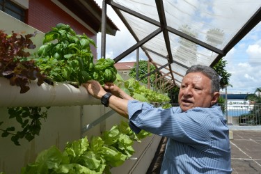 horta-caseira-sustentavel-alimentacao-pratica-e-saudavel