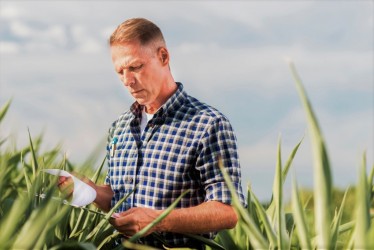 projeto-agronomia-traz-beneficios-para-profissionais