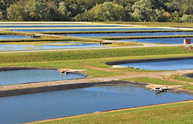 profissionais-obtem-vitoria-judicial-na-producao-de-organismos-aquaticos