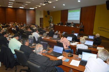 profissional-deve-optar-pelo-titulo-e-entidade-de-classe-pelos-quais-deseja-ser-representado-no-plenario-do-crea-go