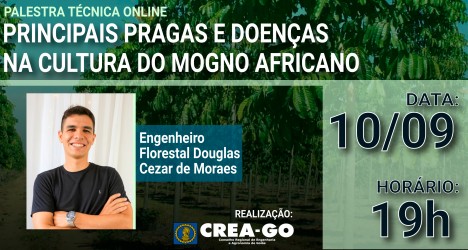 crea-promove-palestra-online-sobre-pragas-e-doencas-no-mogno-africano