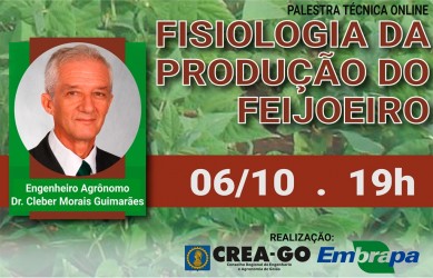 crea-e-embrapa-promovem-palestra-online-sobre-fisiologia-da-producao-do-feijoeiro