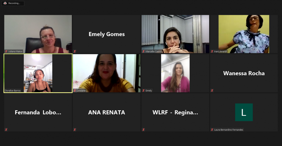 PROGRAMA MULHER GO 02.png