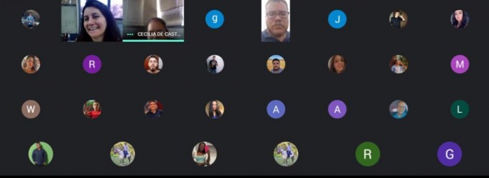 assessora-institucional-do-crea-go-ministra-palestra-virtual-para-alunos-de-agronomia