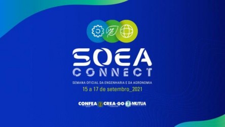 plenario-do-confea-aprova-realizacao-da-soea-connect-em-setembro