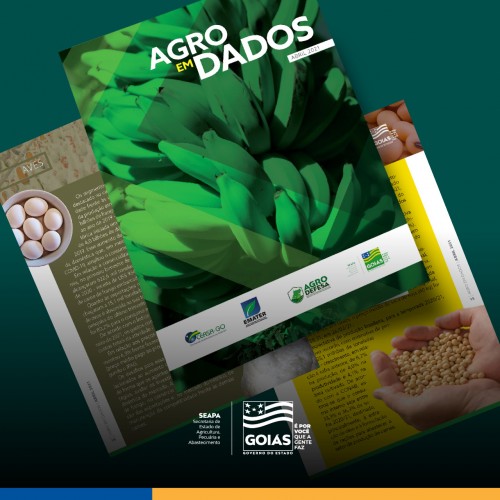 producao-de-banana-em-goias-posiciona-o-estado-entre-os-10-maiores-produtores-do-pais