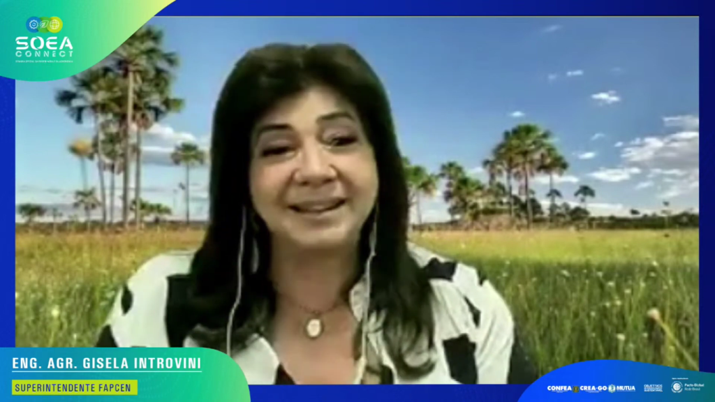SOEA CONNECT - PAINEL MULHER 02.png