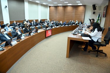 conselheiros-encerram-atividades-em-2021