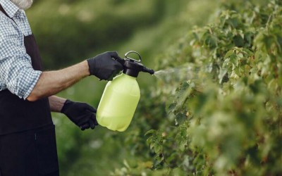 novos-produtos-de-baixo-impacto-para-o-controle-de-pragas-tem-registro-publicado