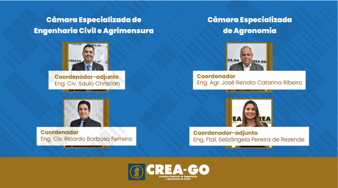 Notícia_Câmara Especializada de Geologia, Minas e Engenharia Química cópia 8.png