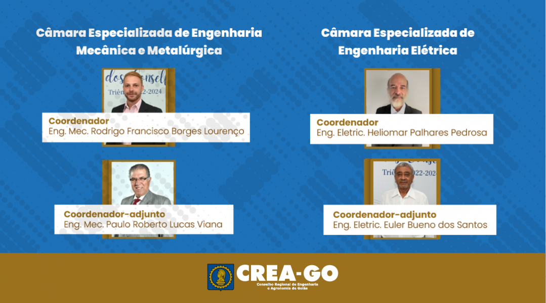 Coordenadores_Câmara Especializada de Geologia, Minas e Engenharia Química cópia 7.png