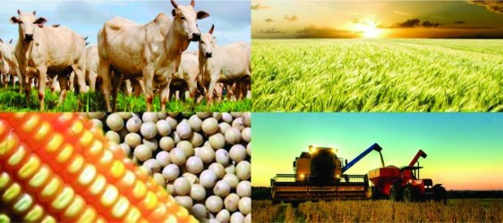 agropecuaria-goiana-cria-64-mil-vagas-formais-de-trabalho-em-2021