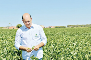 falta-de-insumos-afeta-plantio-de-graos-em-goias-2