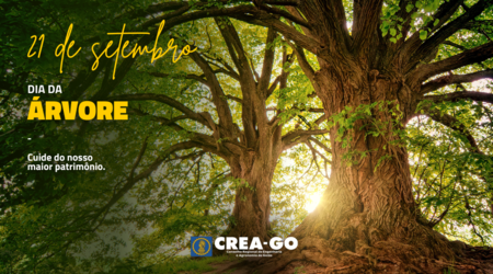 preserve-uma-historia-plante-uma-arvore
