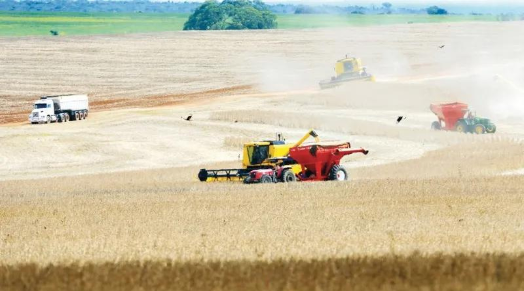 goias-cresce-mais-de-50-em-exportacoes-puxadas-pelo-agro