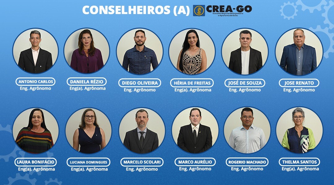 o-que-sao-as-camaras-especializadas-do-conselho-goiano