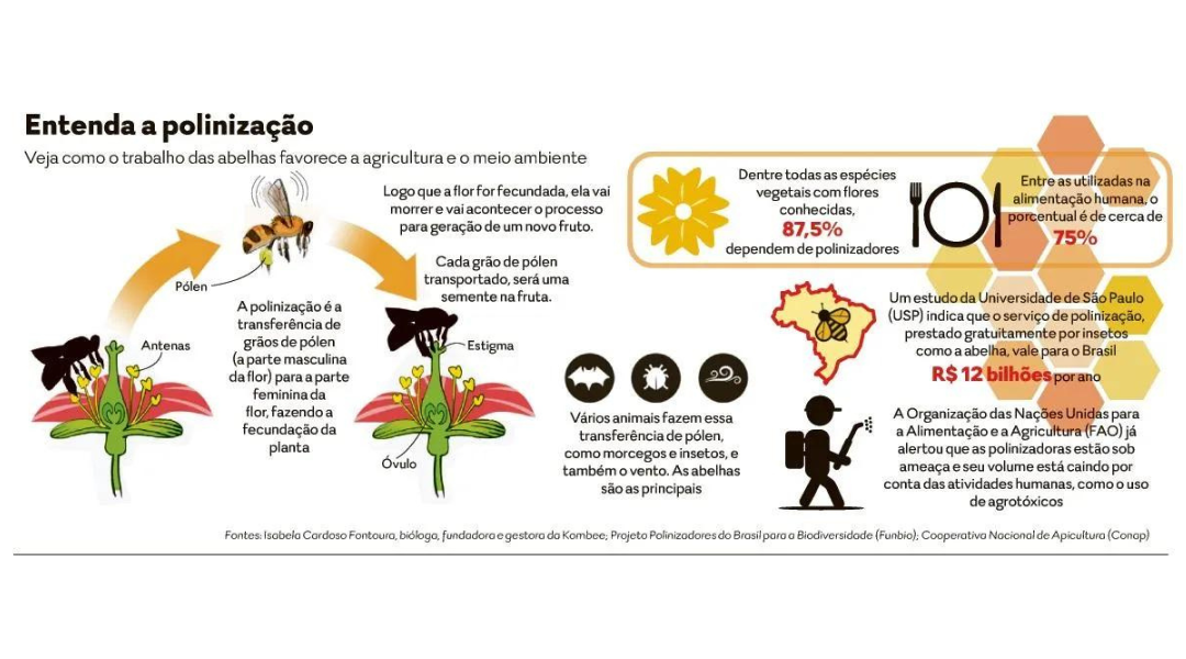 uso-de-abelhas-melhora-produtividade-em-ate-30