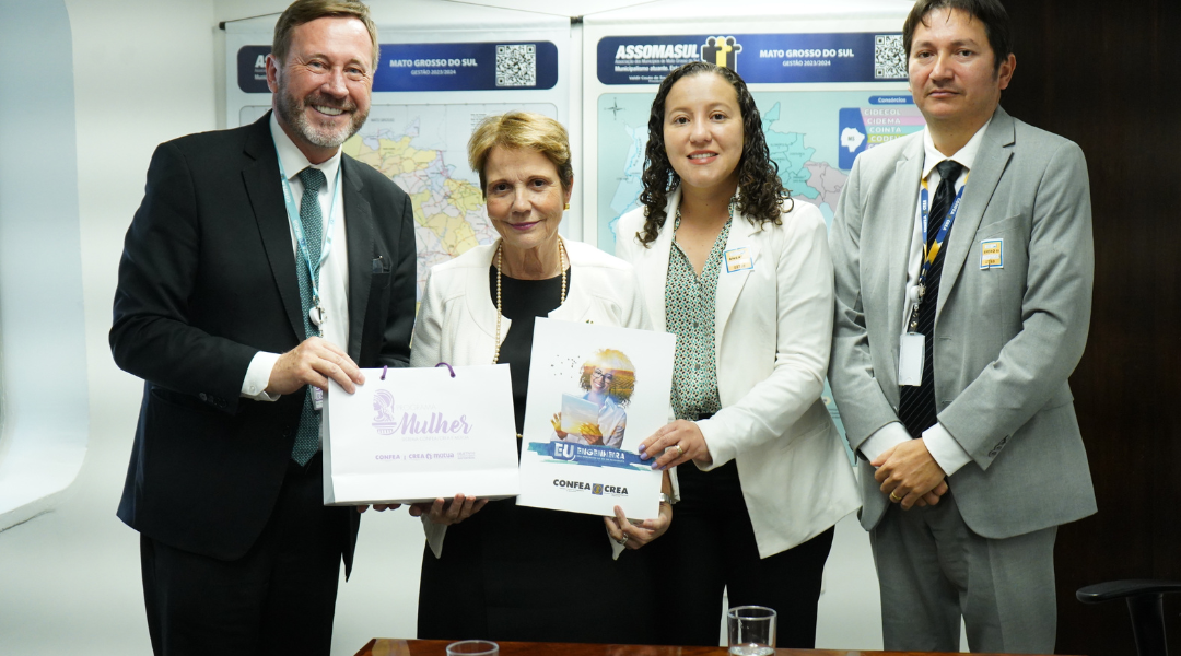 confea-e-cden-apresentam-sugestoes-ao-projeto-de-licenciamento-ambiental