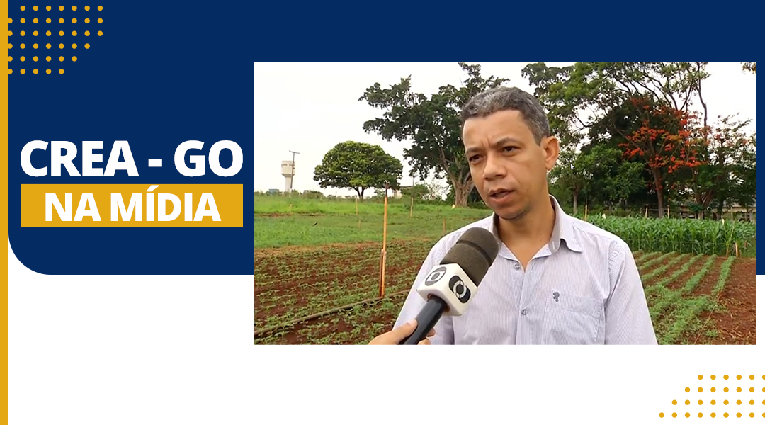 industria-goiana-produzira-proteina-concentrada-de-soja-para-exportacao