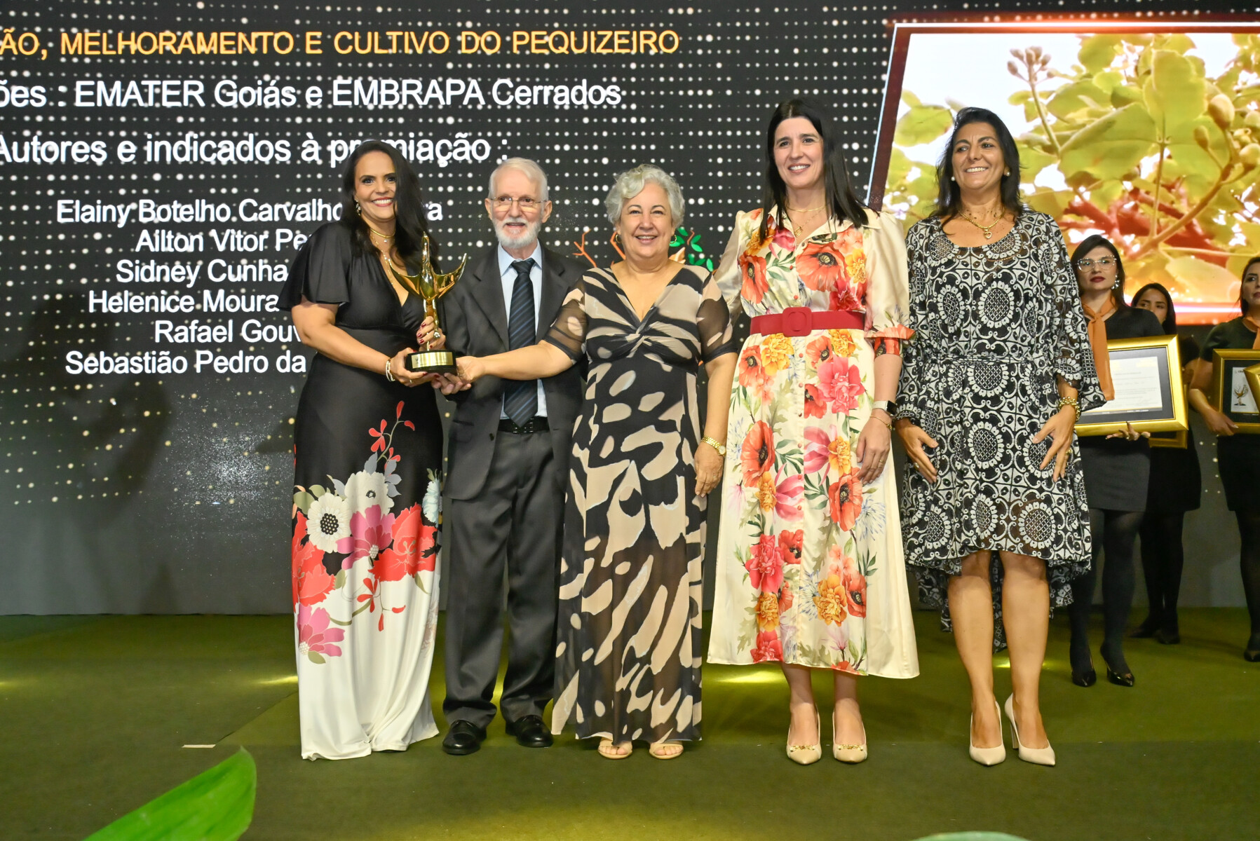 07-11-2024 - foto Silvio Simões - 0479.jpg
